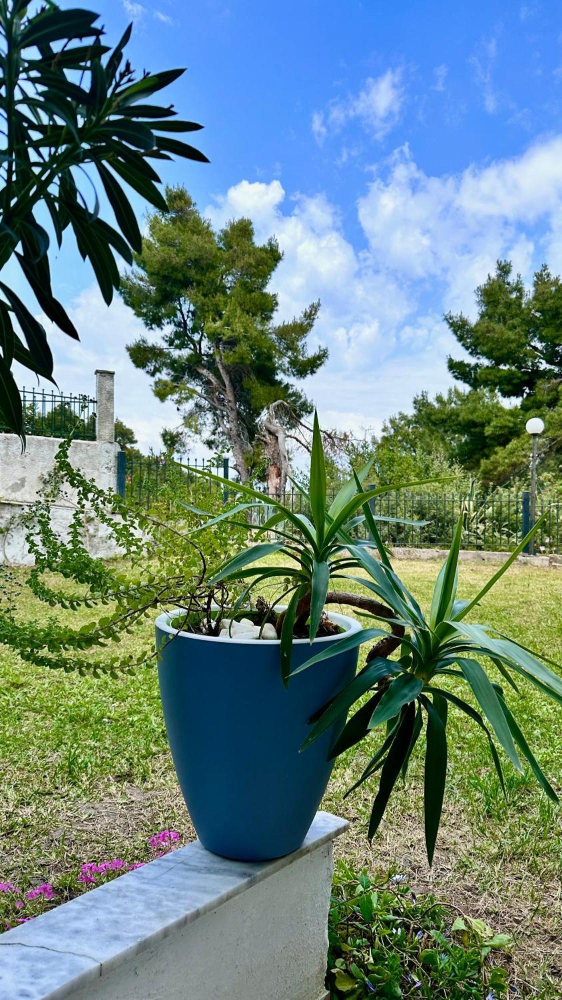 Rita Sea View Apartment Kallithea  ภายนอก รูปภาพ